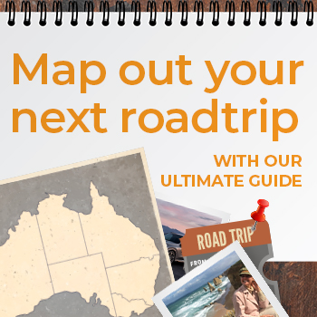 Ultimate Road Trip Guide