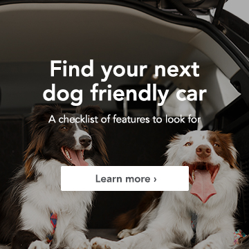 Dog friendly cars